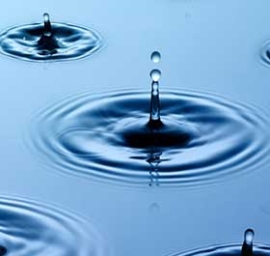Raindrops