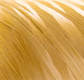 fiber-line-fiber-selection-guide-adlet-small
