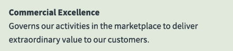 Commercial Excellence Governs our activities in the marketplace to deliver extraordinary value to our customers.